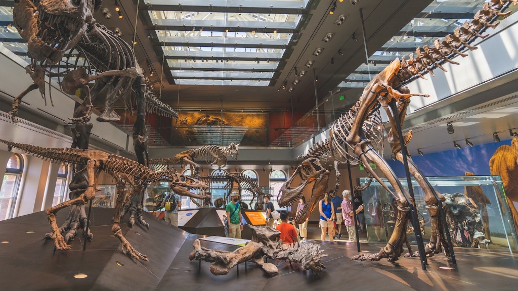 İnsanlar Dinozor Kemiklerini Nerede Bulabilirler?